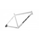 Argon RoCC